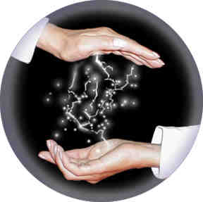 Jennie Schaeffer Logo