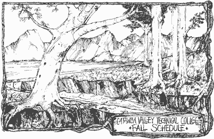 Pen and Ink Illustration