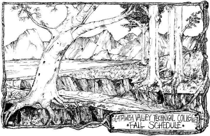 Pen & Ink Illustration Enlargement